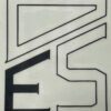 DSE Logo Decals - Image 5