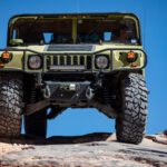 finsnthings-1-104_49747085911_o