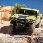 finsnthings-1-105_49747086456_o