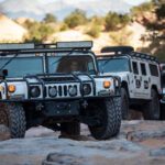 finsnthings-1-111_49746545933_o