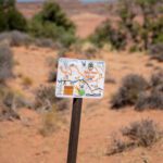 finsnthings-1-11_49747063781_o