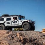 finsnthings-1-129_49746546888_o