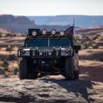 finsnthings-1-136_49747088751_o