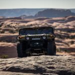 finsnthings-1-138_49747417692_o