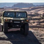 finsnthings-1-139_49747089686_o