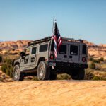 finsnthings-1-146_49747091131_o