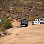 finsnthings-1-148_49747091606_o