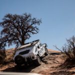 finsnthings-1-14_49747393952_o