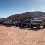 finsnthings-1-163_49746551373_o