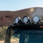 finsnthings-1-168_49747092891_o