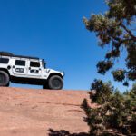 finsnthings-1-16_49747065866_o