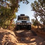 finsnthings-1-185_49747093976_o