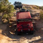 finsnthings-1-189_49746554378_o