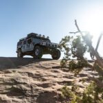 finsnthings-1-190_49747424492_o