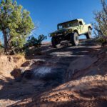 finsnthings-1-192_49746555803_o