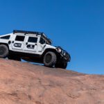 finsnthings-1-19_49747066936_o