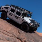 finsnthings-1-22_49746527478_o