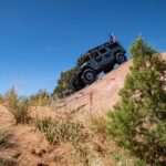 finsnthings-1-28_49746529163_o