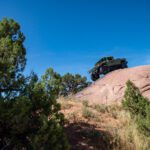 finsnthings-1-30_49747399462_o