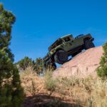 finsnthings-1-31_49747399957_o