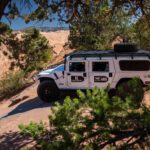 finsnthings-1-32_49747400522_o