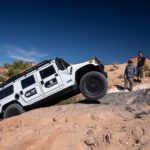 finsnthings-1-46_49746533713_o