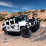 finsnthings-1-49_49746535108_o