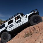 finsnthings-1-51_49747076446_o