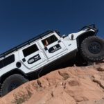 finsnthings-1-52_49746535888_o