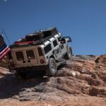 finsnthings-1-58_49747078676_o