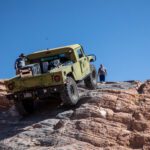 finsnthings-1-59_49747407737_o