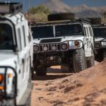 finsnthings-1-78_49747080121_o