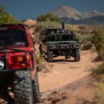 finsnthings-1-83_49747409567_o