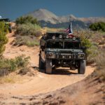 finsnthings-1-84_49746540408_o