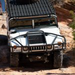 finsnthings-1-98_49746543673_o