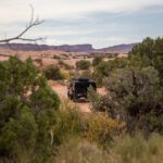 hells-revenge-239_49746959041_o