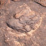 hells-revenge-71_49747240102_o