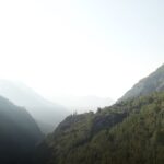 background1